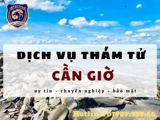 dịch vụ thám tử cần giờ - công ty thám tử cần giờ - thuê thám tử tại cần giờ - văn phòng thám tử cần giờ